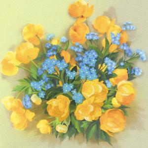 Kupavki de la marque Riolis