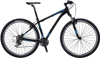 Giant-Revel-29er-2-2015-mâle