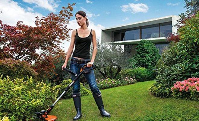 Les meilleurs coupe-bordures à essence selon les avis des utilisateurs Les meilleurs coupe-bordures à essence