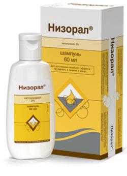 Le meilleur shampooing pour chats contre le lichen