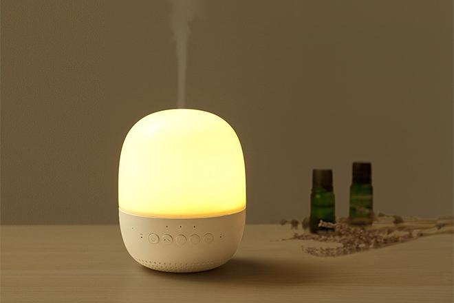 Les meilleurs diffuseurs de parfum Les meilleurs diffuseurs de parfum