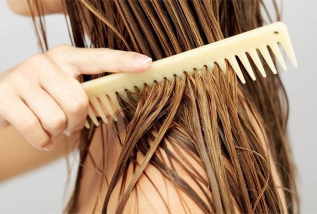 Meilleurs peignes Meilleurs peignes