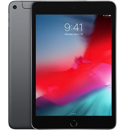 Apple iPad mini 256 Gb Wi-Fi + cellulare