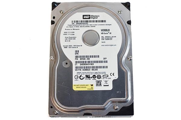 Western Digital WD Blue 80 Go (WD800JD)