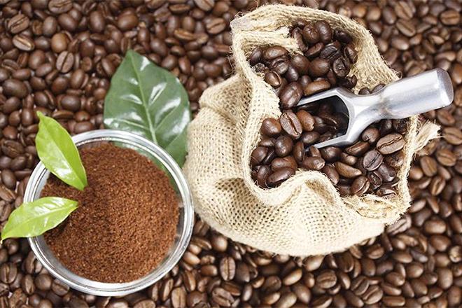 Meilleures marques de café