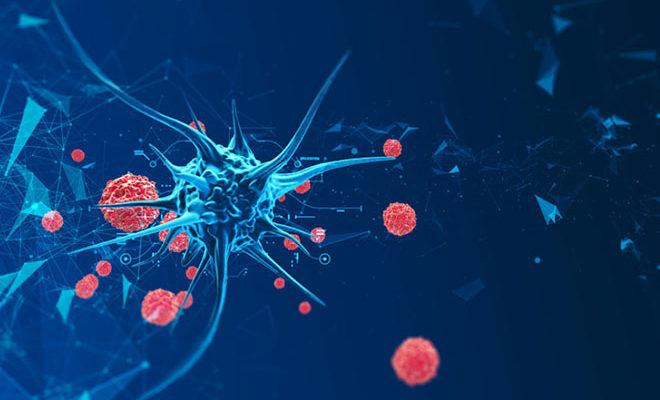 Les meilleurs médicaments pour la prévention du coronavirus Les meilleurs médicaments pour la prévention du coronavirus