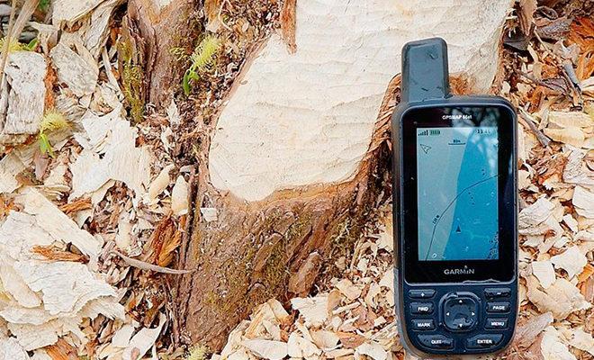 Les meilleurs navigateurs pour la forêt Les meilleurs navigateurs pour la forêt