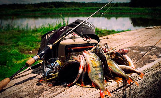 Les meilleures cannes spinning pour jig