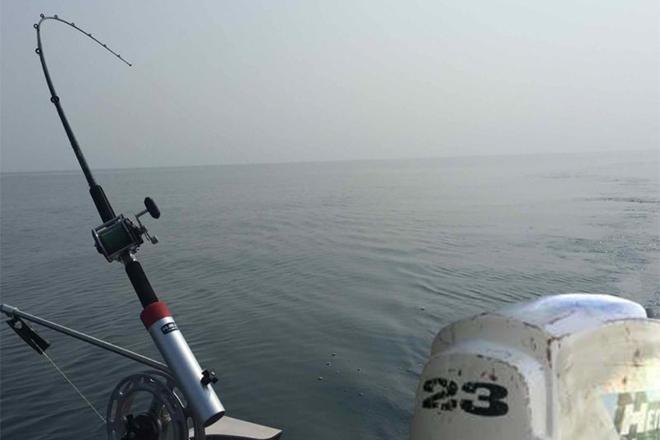 Les meilleures cannes spinning pour la pêche à la traîne Les meilleures cannes spinning pour la pêche à la traîne