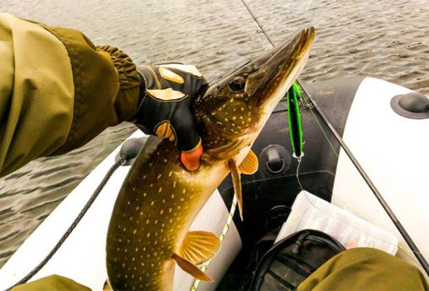 Les meilleures cannes à filer pour les contractions