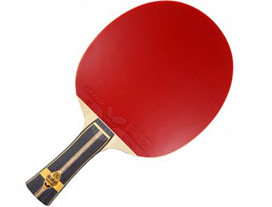Papillon Zhang Jike Super ZL Carbon + Tenergy 05