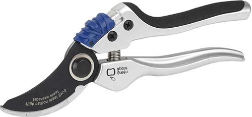 Pomme verte GTBS72-004