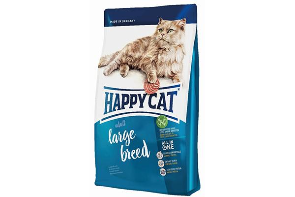 Heureux chat suprême