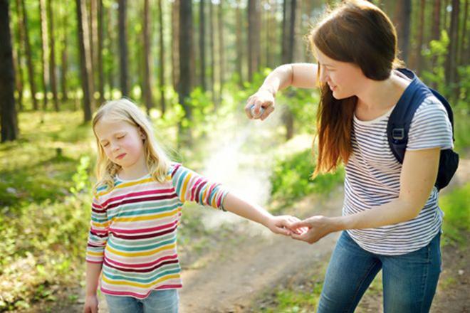 Pinakamahusay na mga remedyo para sa kagat ng lamok Pinakamahusay na mga remedyo para sa kagat ng lamok