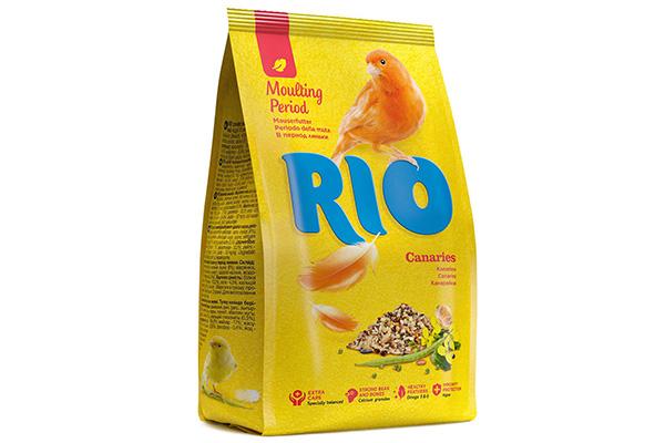Période de mue RIO
