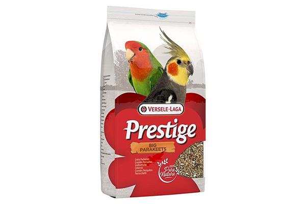 Grande Perruche Versele-Laga Prestige